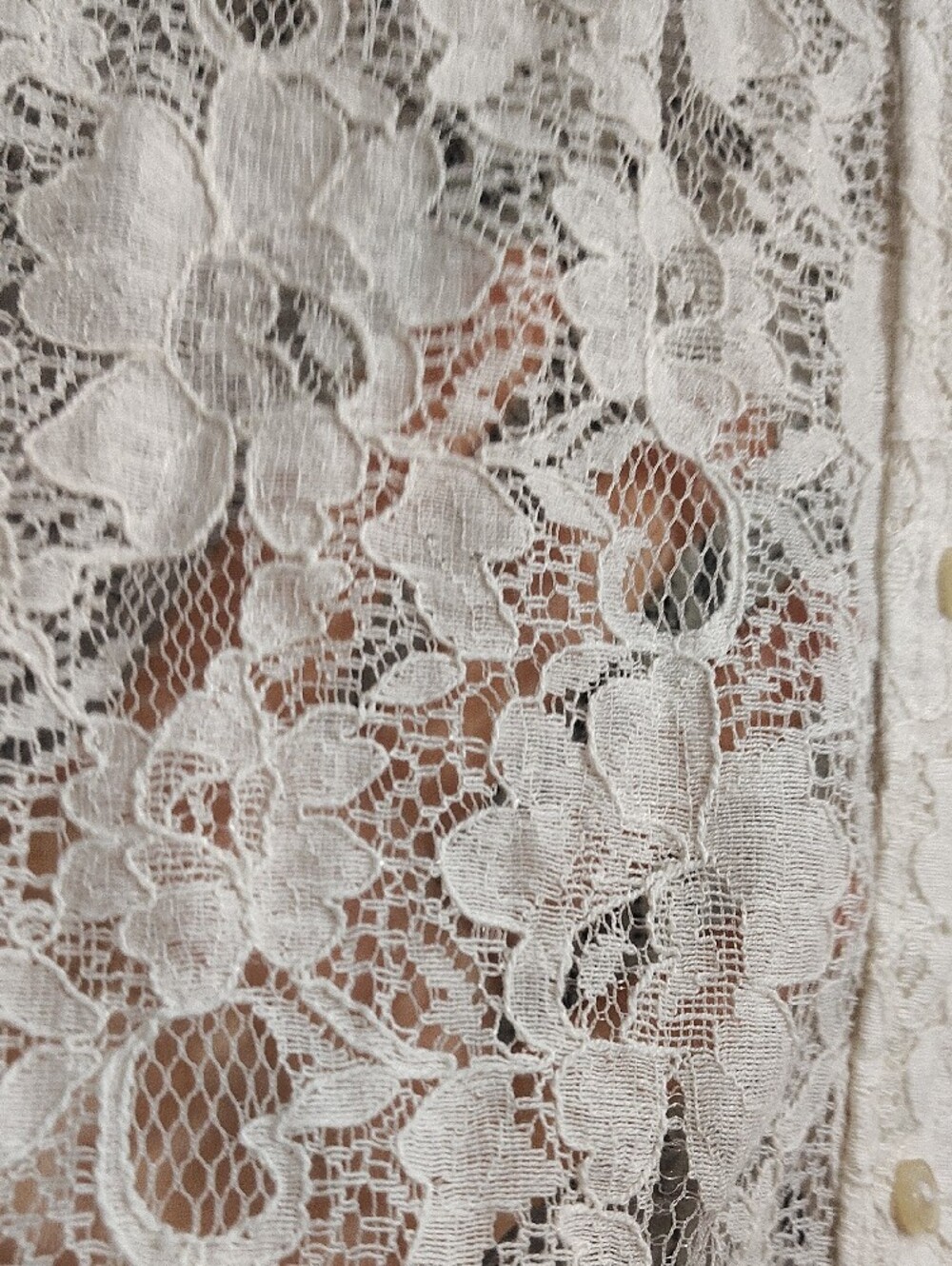 Cato Lace Floral Western Feminine Sheer Rodeo Button-Up Blouse - Cream - Picture 6 of 11